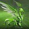 Фотография FIRE DRAGON